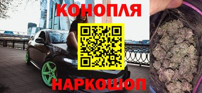шишки Будённовск