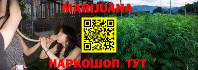 шишки Будённовск