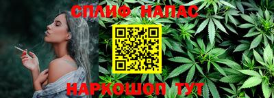 шишки Будённовск