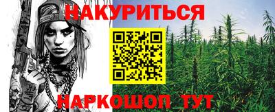 шишки Будённовск