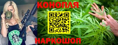 шишки Будённовск