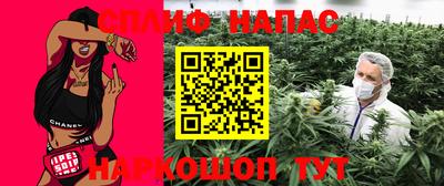шишки Будённовск