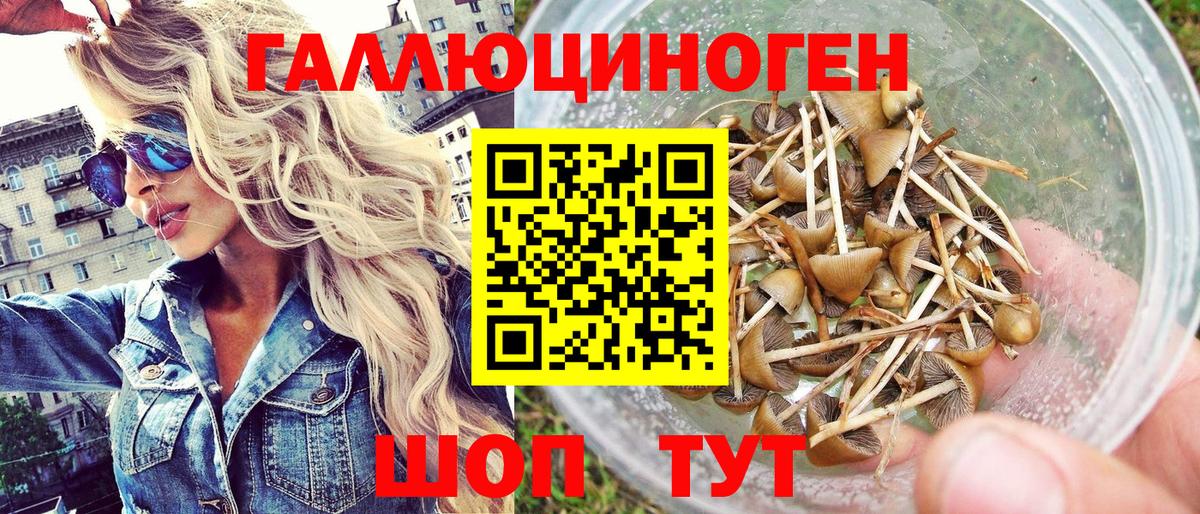 Псилоцибиновые грибы мицелий Мирный