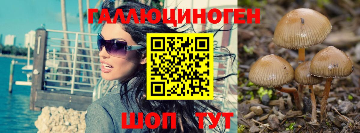 Мирный  Псилоцибиновые грибы мицелий  Вход с VPN  Псилоцибиновые грибы GOLDEN TEACHER 